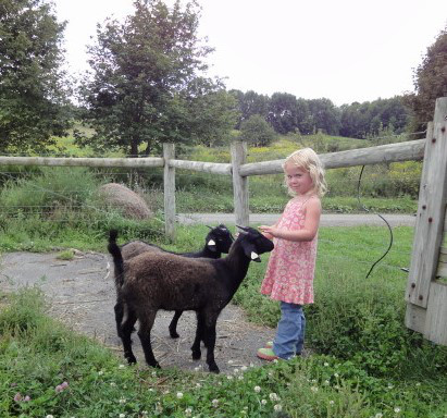 Farm & Goat Photos