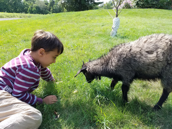 Farm & Goat Photos