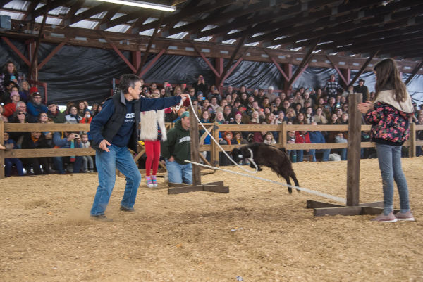 Farm & Goat Photos